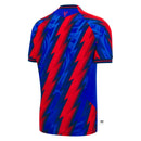 CRISTAL PALACE THIRD 26/27